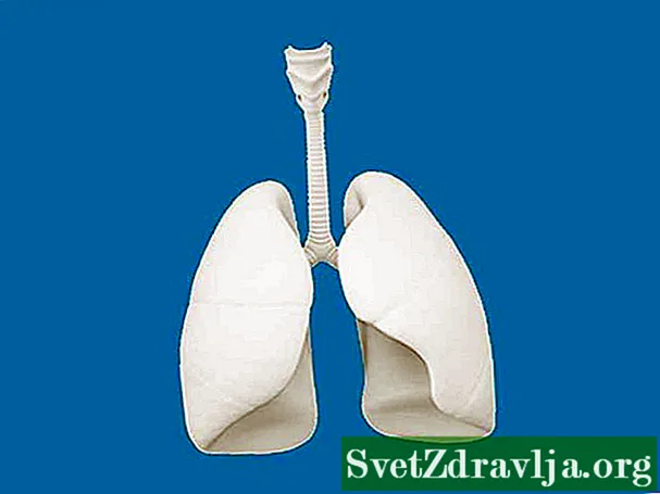 10 Mazwi Aunofanira Kuziva: Isiri-diki Cell Lung Cancer