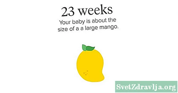 23 týždňov tehotenstva: príznaky, tipy a ďalšie