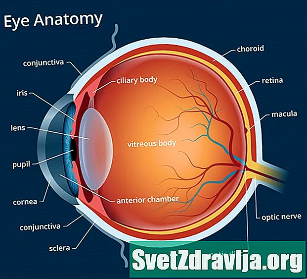 Todo sobre el ojo: estructura, función y condiciones comunes