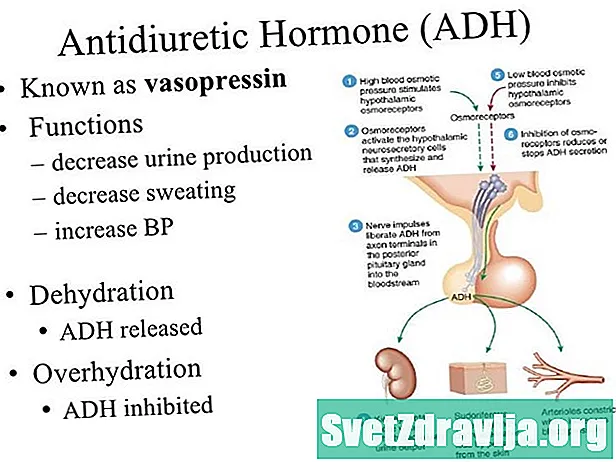 Test na antidiuretický hormón (ADH) - Zdravie