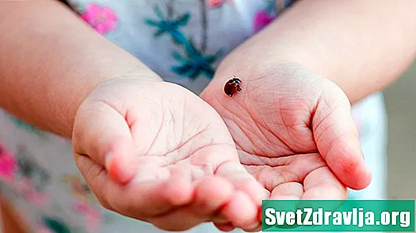 Er ladybugs giftige for mennesker eller kæledyr? - Sundhed