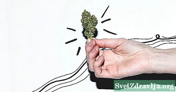 Beginner’s Guide to Marijuana Strains