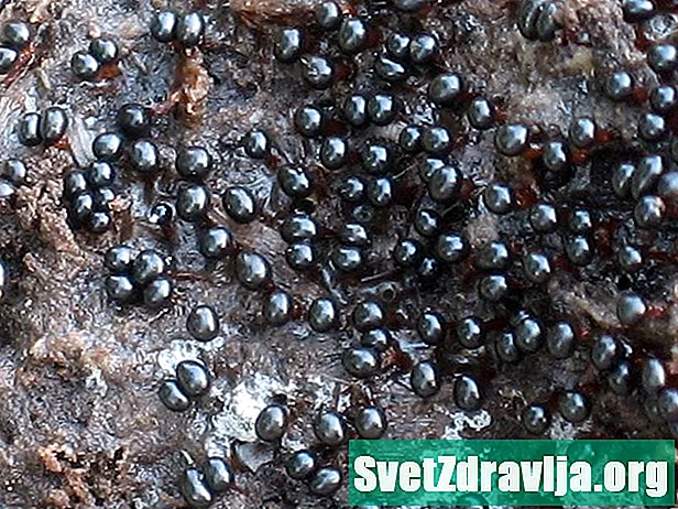 Black Mold Spores og mer