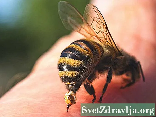 Poate fi infectată o înțepătură de albină?