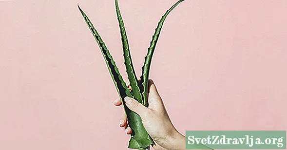 O Aloe Vera pode axudar a desfacerse das engurras?