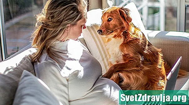 Können Hunde eine Schwangerschaft spüren? - Gesundheit