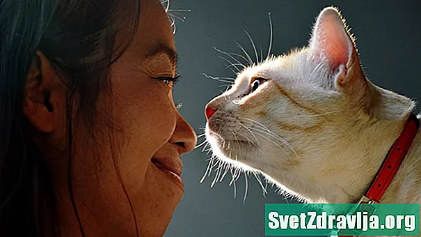 Konventat e maceve: Whatfarë dëshironi të jetoni me alergji të rënda - Shëndetësor