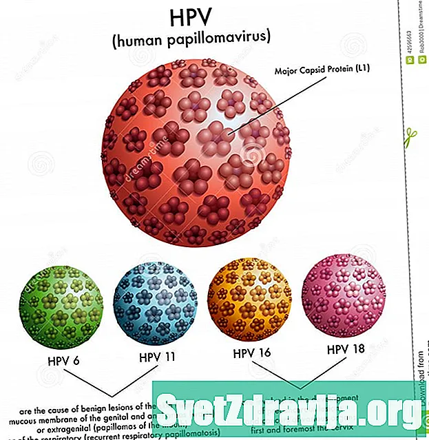 인간 유두종 바이러스 (HPV)의 일반적인 유형