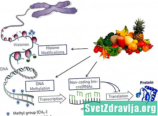 DNA-Methylierung: Kann Ihre Ernährung Ihr Krankheitsrisiko senken? - Gesundheit