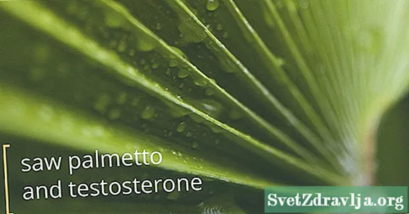 Saw Palmetto သည် Testosterone ဟော်မုန်းကိုထိခိုက်ပါသလား။ - ကျန်းမာရေး