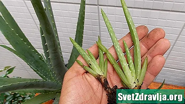 Hilft oder verletzt die Verwendung von Aloe Vera bei Hautentzündungen? - Gesundheit