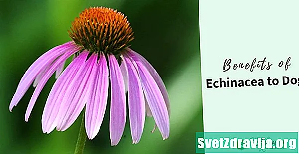 Echinacea für Kinder: Vorteile, Dosierung, Typen und Vorsichtsmaßnahmen - Gesundheit