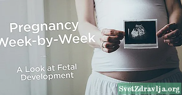 Embrij protiv fetusa: Razvoj fetusa iz tjedna u tjedan