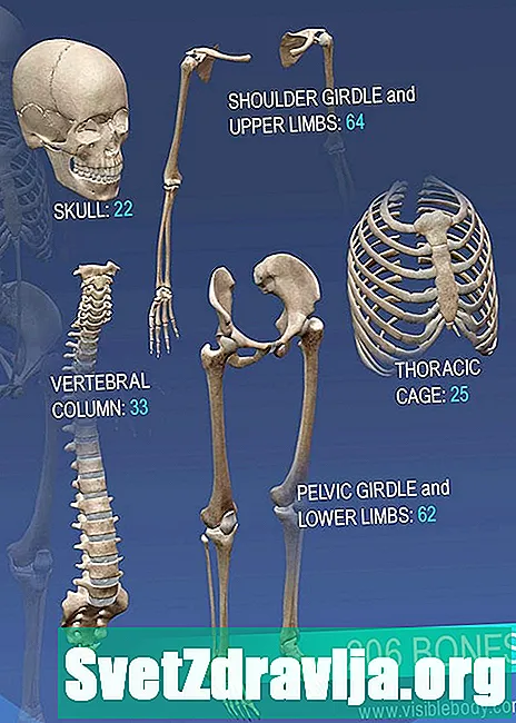 Prehľad plochých kostí - Zdravie