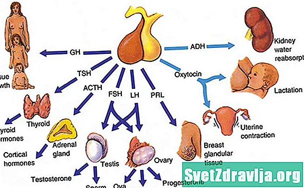 Follicle-örvandi hormón (FSH) próf - Heilsa