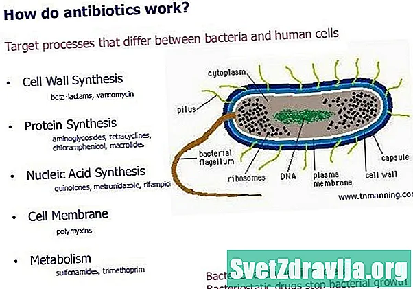 抗生物質はどのように機能しますか？