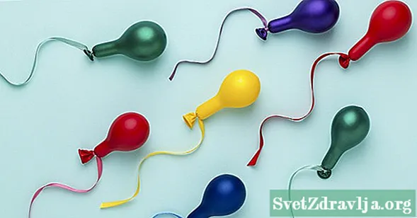 Si prodhohet sperma?
