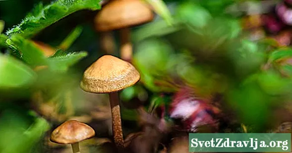Как долго грибы остаются в вашем организме?