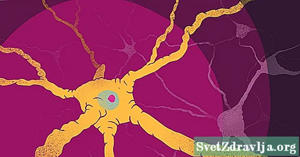 Kuidas sclerosis multiplex mõjutab aju: valge aine ja hall aine
