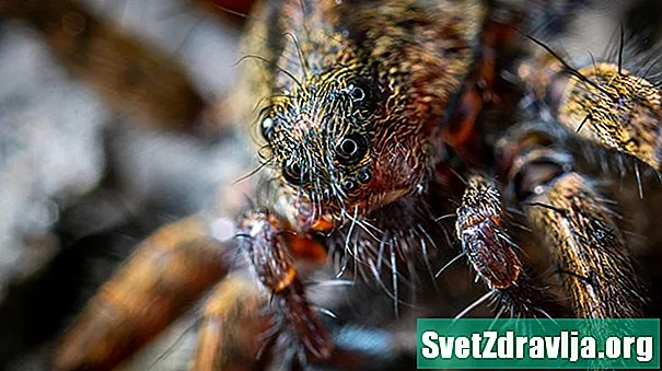 Hur man hanterar med arachnophobia eller rädsla för spindlar - Hälsa