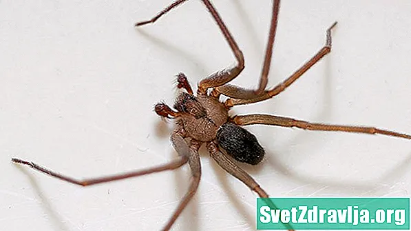 Cum să identificați și să tratați mușcăturile de păianjen - Sănătate