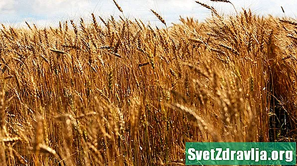 Kako pšenični kalčki koristijo vašemu zdravju