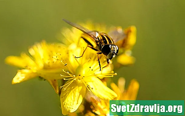 Препараты от аллергии на укусы насекомых