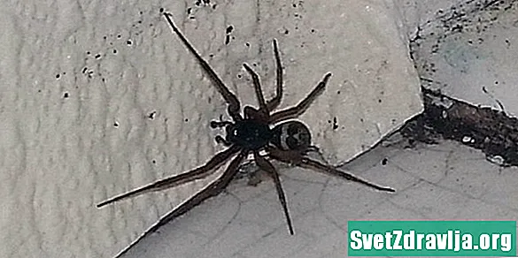 Mérgezés a fekete özvegy pók méreg miatt (fekete özvegy pók harapás) - Egészség