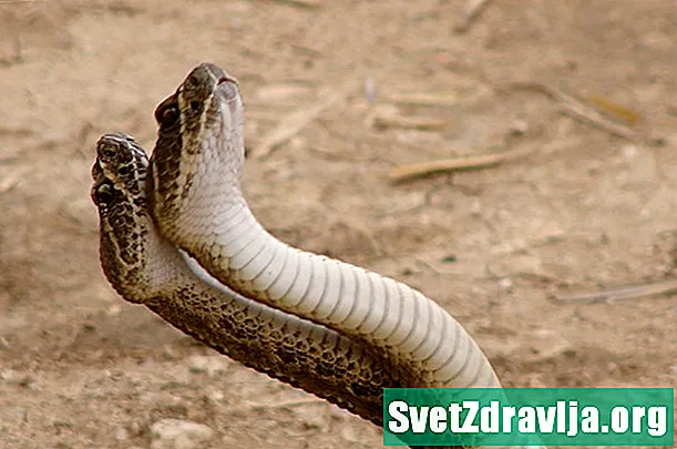 Rattlesnake Bite