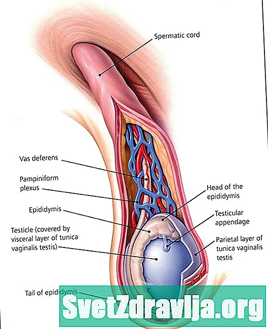 陰嚢腫瘤