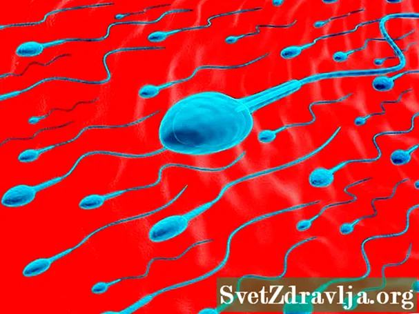 Аналіз спермы і вынікі выпрабаванняў
