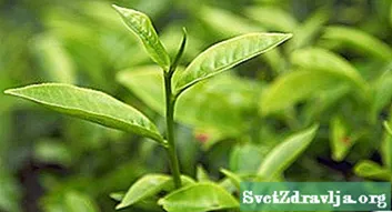 שמן עץ התה: מרפא פסוריאזיס?