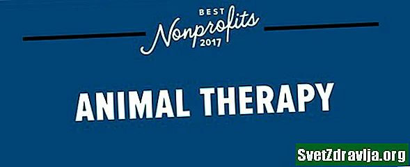 Yılın En İyi Hayvan Terapisi Kâr Amacı Gütmeyen Kuruluşlar