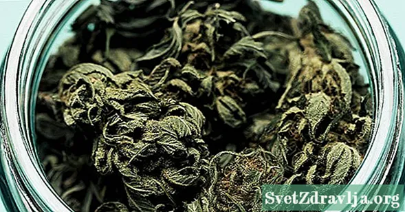 Fragrance of Marijuana Berî û Piştî Vexwarinê - Tendûrûstî