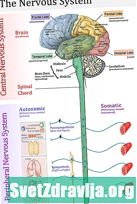 Разбиране на депресията на централната нервна система (ЦНС): симптоми, лечение и др