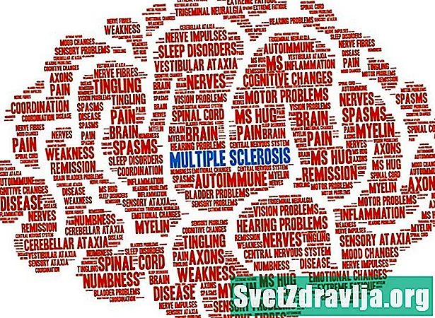 Multiple sclerose (MS) begrijpen