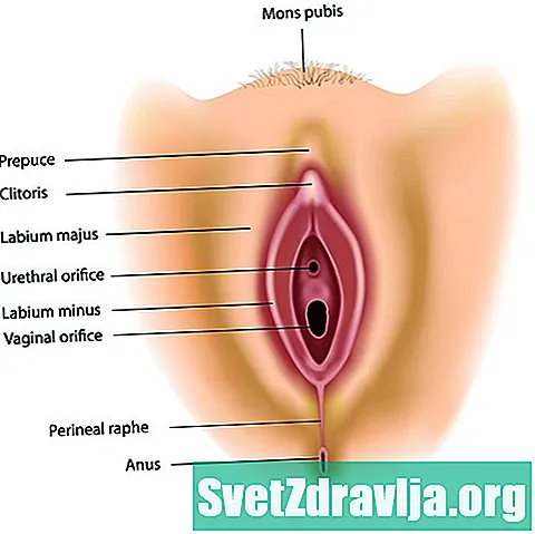Razumijevanje vaginalnog Introitusa - Zdravlje