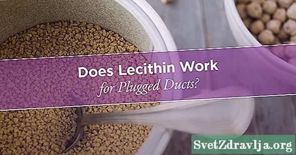 Sử dụng Lecithin trong khi cho con bú đối với các ống dẫn được cắm