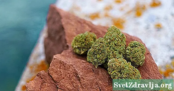 Que sont les roches lunaires de marijuana?