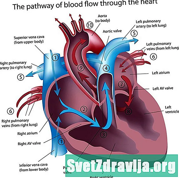 Kaj povzroča srčni utrip?