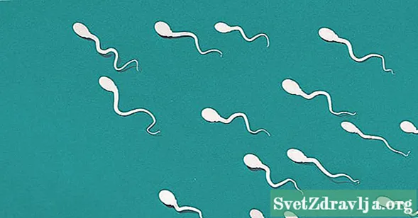 Što uzrokuje mali broj spermija i kako se liječi?