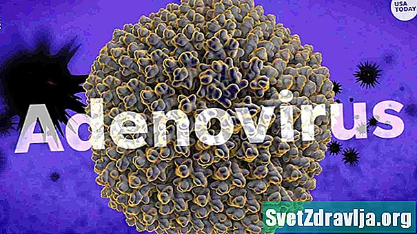 Què és un retrovirus?