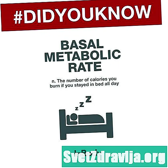 ¿Qué es la tasa metabólica basal? - Salud