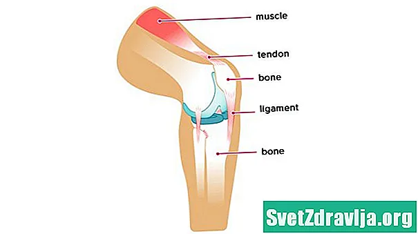Quelle est la différence entre les ligaments et les tendons? - Santé