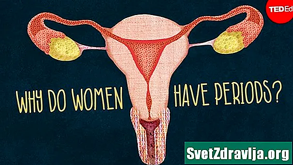Waarom hebben vrouwen menstruatie?