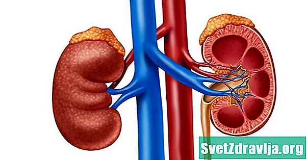 Nega adrenal ekstrakti oldini olish kerak - Sog'Lik