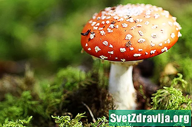 Появляются ли грибы на тесте на наркотики?