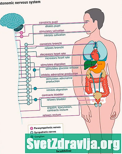 Teie parasümpaatiline närvisüsteem on lahti seletatud - Tervis