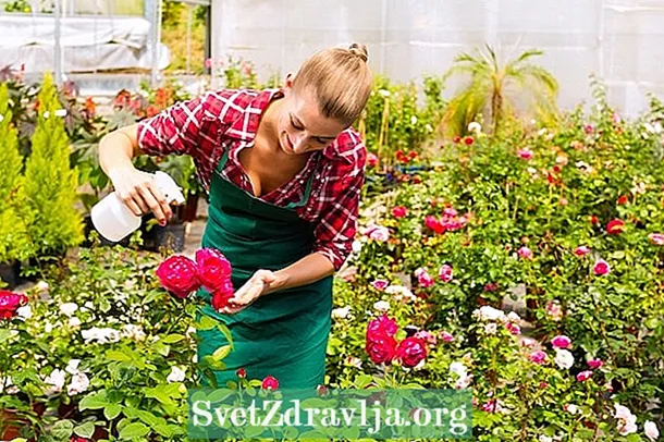 4 Insecticidas naturais para matar pulgóns en plantas e xardíns