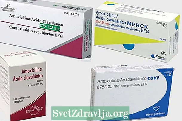 Antibiotico amoxicillina + acido clavulanico